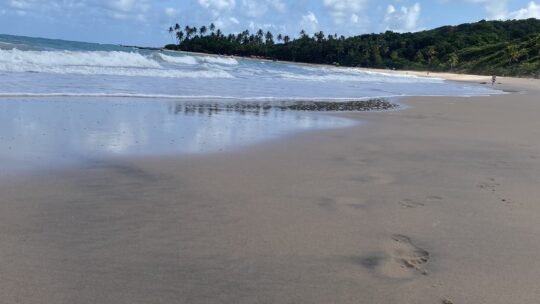 Samedi 26Novembre…Praia de Coqueirinho